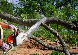 Best Tree and Shrub Care  in Osburn, ID